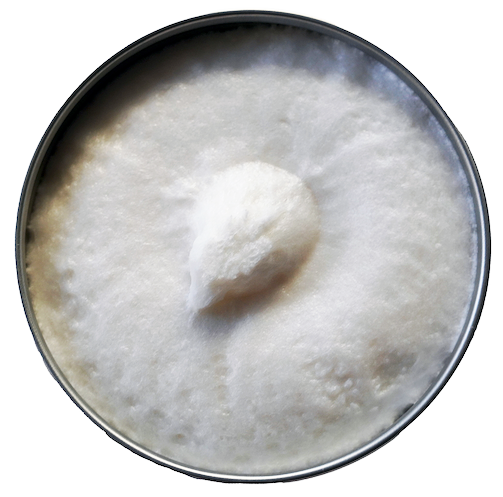 GOLDEN BEARDS JABON DE AFEITAR